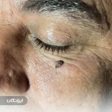 دکتر فاطمه مختاری