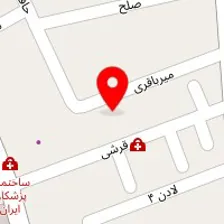 دکتر امیرمحمد خیرالسادات