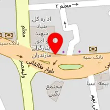 دکتر مینا رضوانی