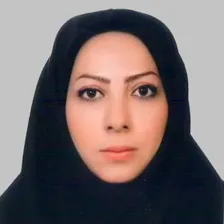 وکیل باران کرمی