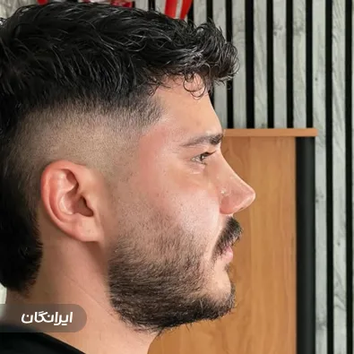 دکتر محمدرضا بیگدلی