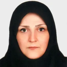 وکیل سولماز غنی زاده