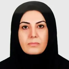 وکیل لیلا عبادی