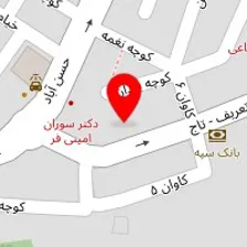 دکتر نگین سمیعی