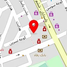 دکتر بهزاد ویسی