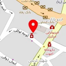 دکتر مینا صنعت جو