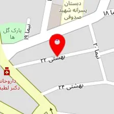 دکتر حبیب اله تسلیمی