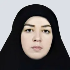 وکیل اکرم شوقی