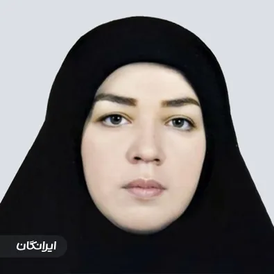 وکیل اکرم شوقی