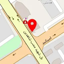 دکتر زهرا امیری