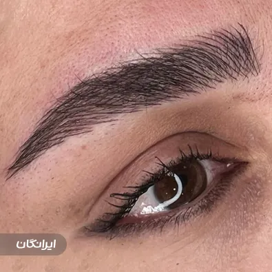 سالن آرایش دائم میترا رونقی