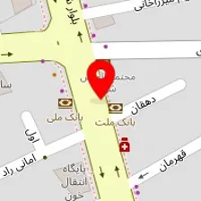 دکتر الناز فروغی