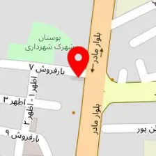 قالیشویی 118