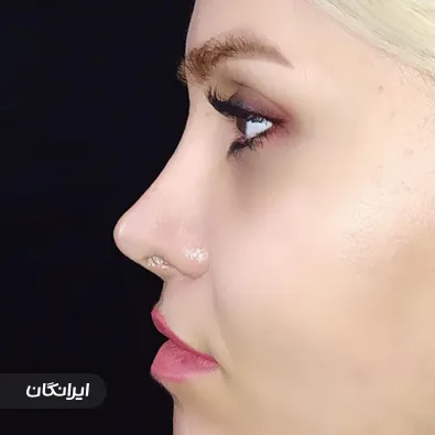 دکتر احمد رضائیان