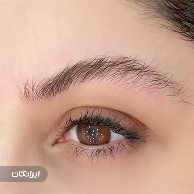 سالن آرایش دائم نیلوفر ابراهیم فر