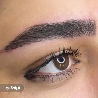 سالن آرایش دائم نگین صابریان