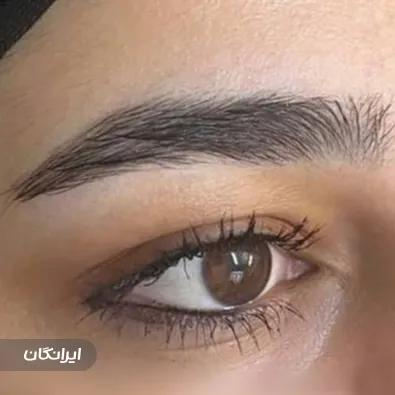 سالن آرایش دائم نگین صابریان