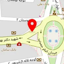 دکتر غلامرضا گلشنی