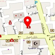 دکتر مصطفی نجفی