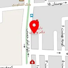 دکتر فرزانه خضری