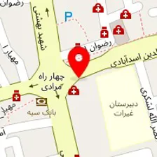 دکتر محمود پورزرگر