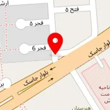 دکتر امیرعلی نیکپور