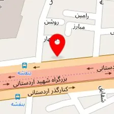 سالن خدمات ناخن شقایق