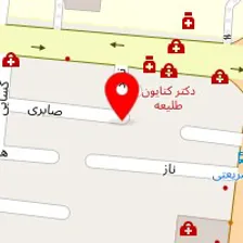 دکتر منصور جاوری