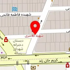 دکتر منصوره نیلی