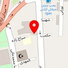 دکتر شهناز نادری