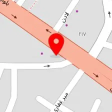 دکتر مانیا اسدیان