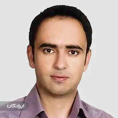 وکیل مهدی علوی