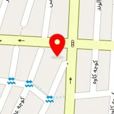 دکتر بهنوش سلاح برزین