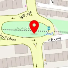 ماساژ گلهای داوودی (ویژه بانوان)