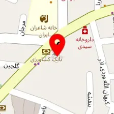 دکتر رضا هادی