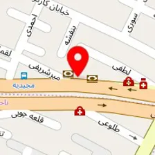 دکتر محمدرضا شیخیه