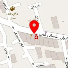 دکتر فرناز رضوی