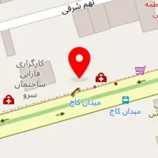 دکتر نرگس ساجدی