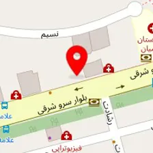 دکتر طیبه همتی