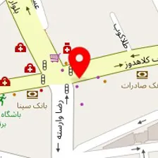 دکتر ندا حسن پور