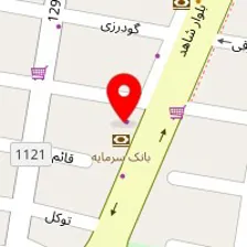 دکتر شقایق حاتمی