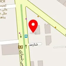 دکتر فاطمه آذرمه