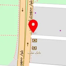 دکتر زهره دولتی