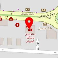 دکتر زهره رییسیان