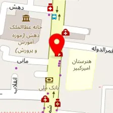 دکتر شیوا طالبی