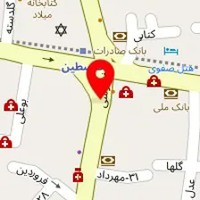 دکتر مهناز ارشدی