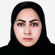 وکیل الهه رسولیان