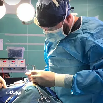 دکتر روزبه پهلوان