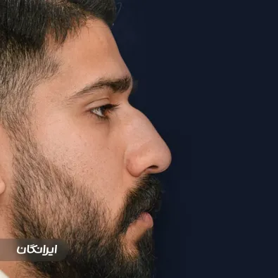 دکتر ایمان محمدی