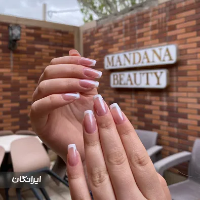 نیل آرتیست ماندانا انصاری